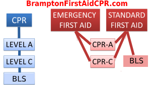 Different Levels Of Cpr Training Brampton First Aid Cpr